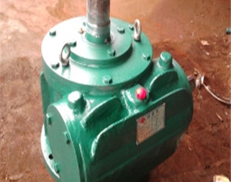 PWS平面二次包絡環(huán)面蝸桿減速機